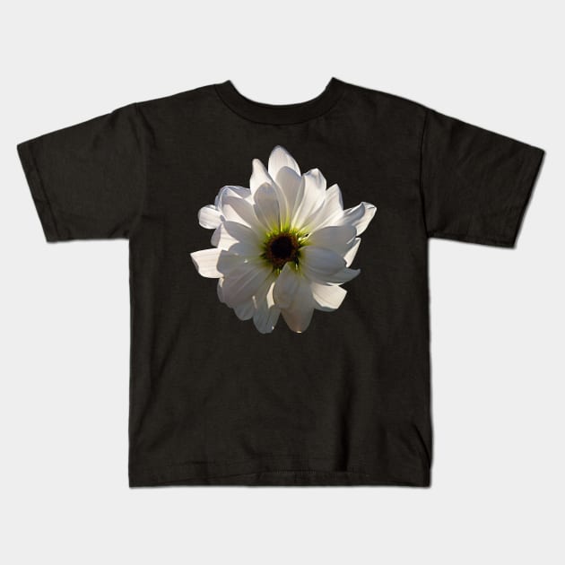 Daisies - Backlit White Daisy Kids T-Shirt by SusanSavad